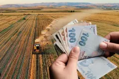 Çiftçilere Kasım Ayı Gübre Desteği Hesaplara Yatıyor - Kanal Para